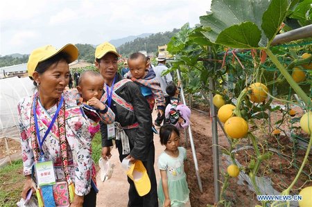 2018 China Yunnan Vegetable Seeds Expo Held